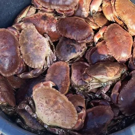 Eksklusiv Rorbu - Havblikk 2 - Batutleie Prázdninový dům *